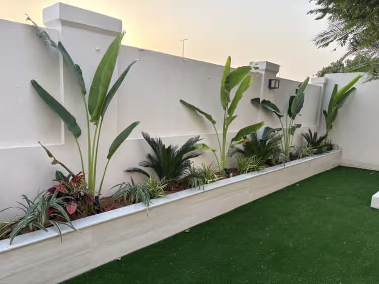 Tropical plant border landscape design along a villa wall